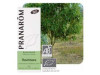 Ravensara Bio 10Ml Aceite Esencial