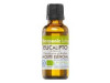 Eucalipto Globulus Aceite Esencial Bio 30Ml.