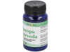 Alfa Herbal Bacopa 60 Perlas