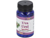 Uva Ursi Gayuba 60caps - Alfa Herbal