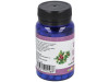 Uva Ursi Gayuba 60caps - Alfa Herbal