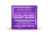 Hyaluronic Night Glow Hydration Night Cream Moisture Restore 50 Ml