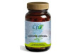 Curcumin Liposomal 60Cap.