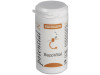 Equisalud Micronutrición Bazovital 60 Cápsulas
