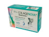 Colagenova Hialurônico + 30caps - Vaminter