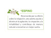 Passiflorine (1 Envase 125 ml) - Baule Volante & Fior Di Loto Srl