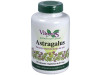 Astragalus Extracto Estandarizado Raíz 120caps - Vbyotics