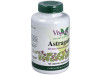 Astragalus Extracto Estandarizado Raíz 120caps - Vbyotics