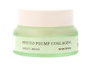 Mizon Phyto Plump Collagen Night Cream 50Ml
