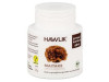 Hawlik Maitake Grifola Frondosa Extracto Puro 60Caps