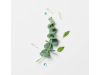 Head Spa Astera Fresh Fluido Calmante Refrescante, 50 ml. - René Furterer