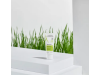 Biology Crema Hidratante Ligera, 40 ml.- Aderma