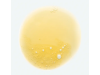 Champú al Mango, 200 ml. - Klorane