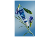 Contorno de Ojos y Labios Redensificante de Genciana Azul y Edelweiss, 10 ml. - Weleda