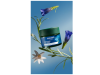 Crema de Día Redensificante de Genciana Azul y Edelweiss, 40 ml. - Weleda 