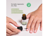 Cutis P Esmalte Reparador de Uñas, 10 ml. - The Cutis Lab