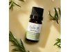 Cutis P Esmalte Reparador de Uñas, 10 ml. - The Cutis Lab