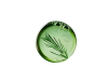 Skin Food Phyto Infusion Sérum, 30 ml. - Weleda