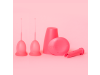 Enna Easy Cup "S" x 2 + Vaso Higienizador + Aplicador. -  Exeltis