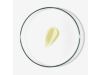 Lip Balm SPF 50, 15 ml. - BABE 