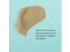 Mascarilla Purificante, 50 ml. - Segle Clinical