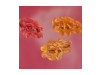 Mims Gummies Immune Support Kids, 7 Sobres de 15,5 g. - Mims 