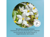 Cofre Antiaging Piel Sensible : Skin Factor Sérum, 30ml + Skin Factor Crema, 50ml. - Segle Clinical