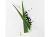 Head Spa Scrub Exfoliante purificante Detox, 150 ml. - René Furterer