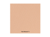 Toleriane FDT Compacto Mineral N11, 9 g. - La Roche Posay