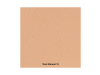 Toleriane FDT Compacto Mineral N13, 9 g. - La Roche Posay
