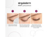 Xpert Lashes & brows, 4 ml. - Primaderm
