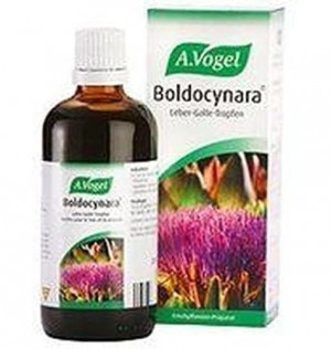 Boldocynara 100 Ml Bioforce