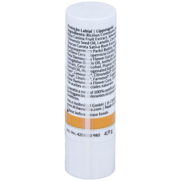 Dr. Hauschka Protector Labial Stick 5G