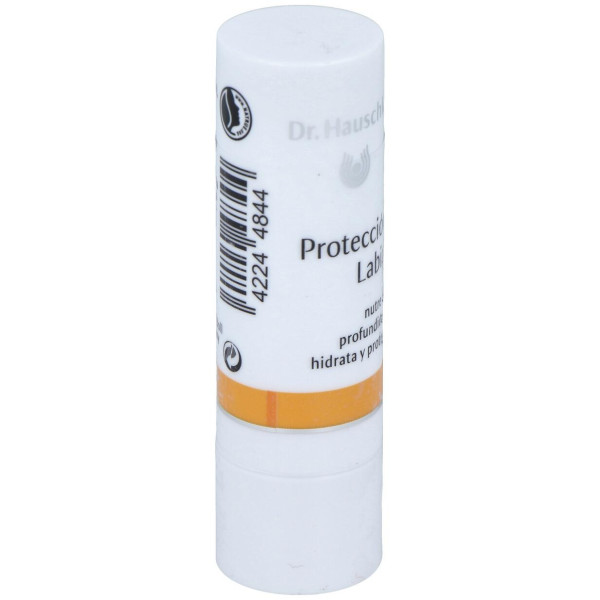 Dr. Hauschka Protector Labial Stick 5G