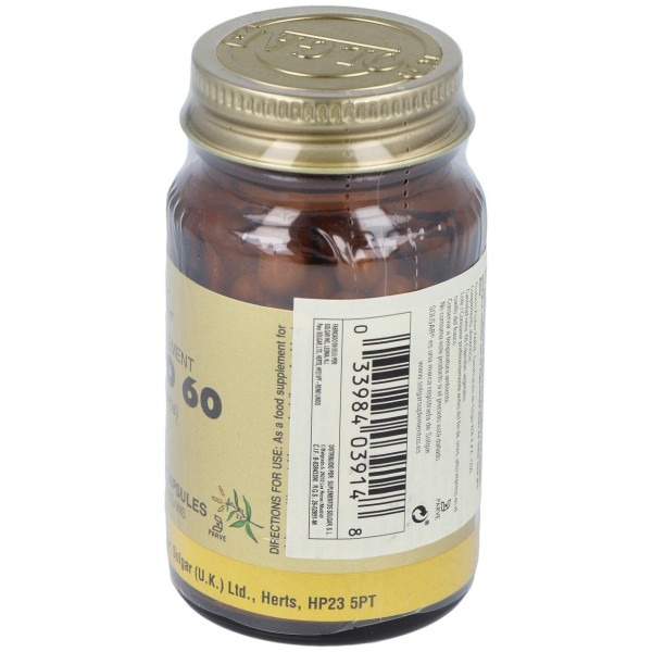 Ginkgo 60 60Cap.Veg.