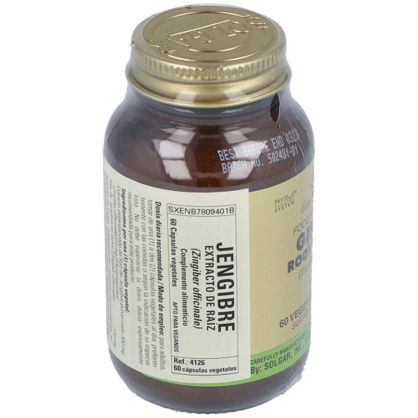 Jengibre-Raiz-(Ginger-Zingiber Off.) 60Veg