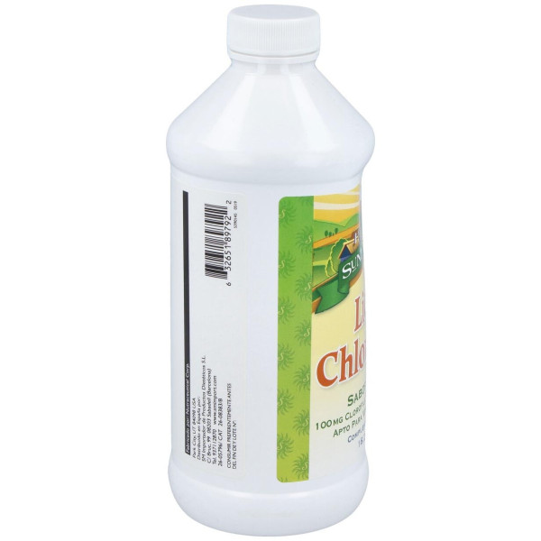 Chlorophyll Liquida 500Ml. 2