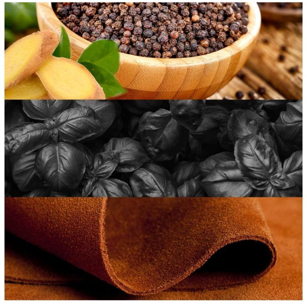 Euphoria Men Eau De Toilette Vaporizador 50 Ml