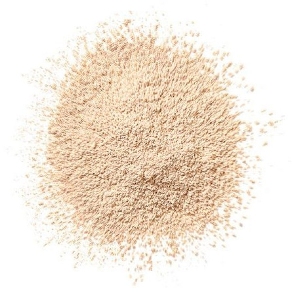 Clinique Blended Face Powder Y Brush Transparency Iii 25G