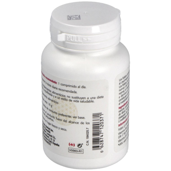 Sura Vitasan Ácido Fólico Activo 60Caps