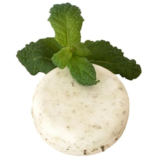 The Organic Republic Champú Sólido Pelo Graso 70G