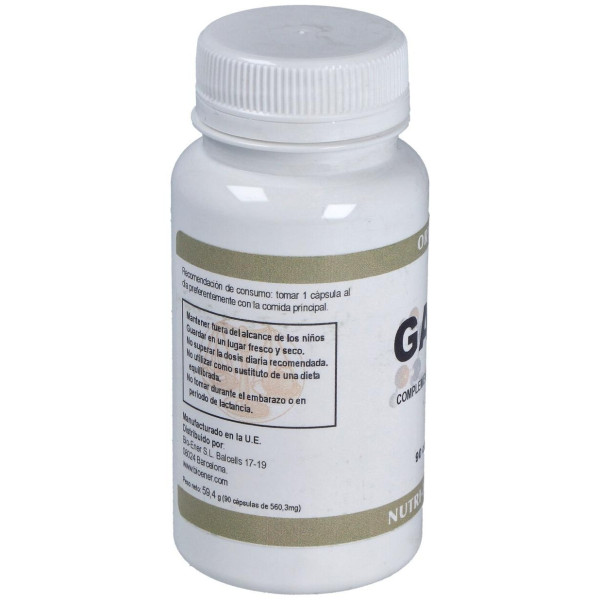 Gaba 500Mg. 90Cap.