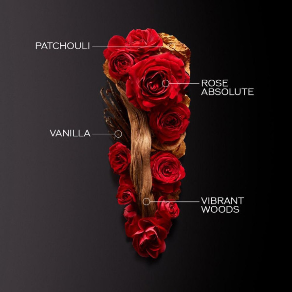 Ginza Edp Intense Vapo 50 Ml