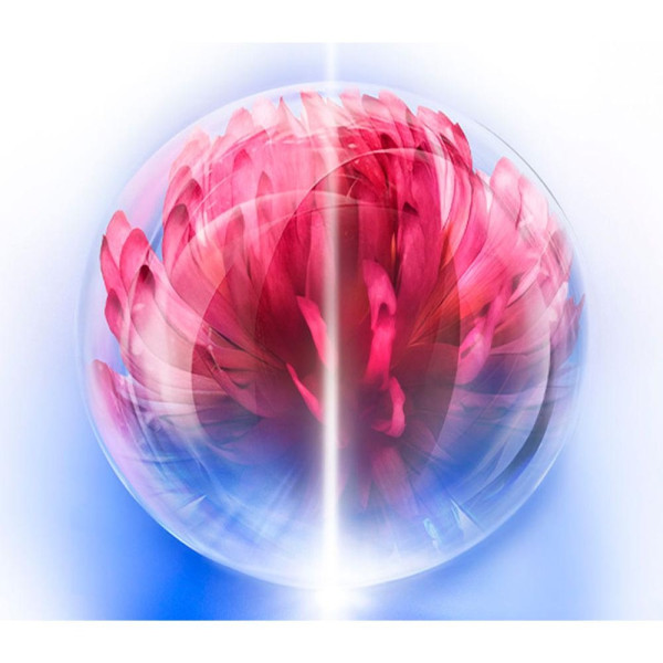 Bio-Performance Skin Hiforce Cream Recarga 50 Ml