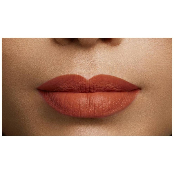 L'Oréal Color Riche Lipstick 108 Brun Cuivré 1_4G