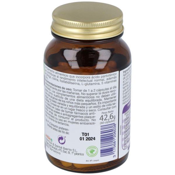 Dietisa Mega Ginkgo Complex 60Cáps