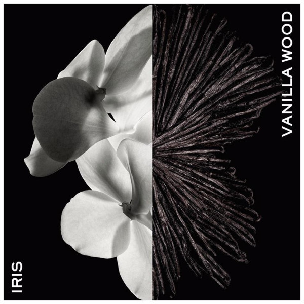 New Gentleman Eau De Parfum Vaporizador 100 Ml