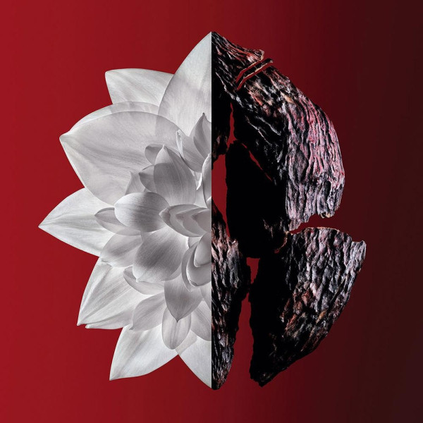 L’Interdit Rouge Ultime Edp Vapo 50 Ml