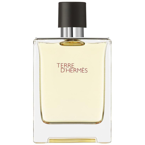 Hermes Paris Terre D'Hermes Eau De Toilette 100Ml