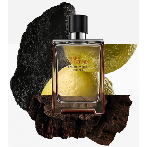 Terre D'Hermès Parfum Intense Edp Recarga 200 Ml